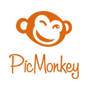 logo PicMoneky