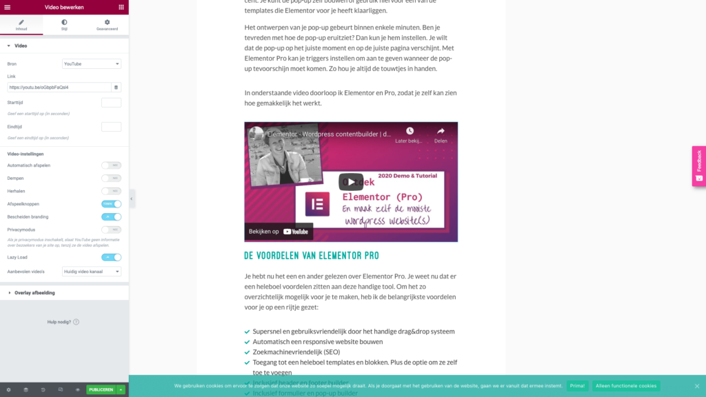 elementor opties instellen