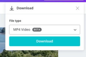 Canva pro downloaden video